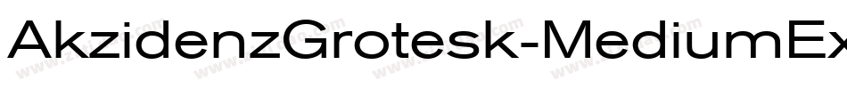 AkzidenzGrotesk-MediumExtendedItalic字体转换