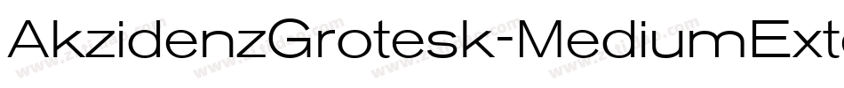 AkzidenzGrotesk-MediumExtendedItalic字体转换
