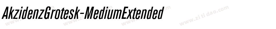 AkzidenzGrotesk-MediumExtendedItalic字体转换