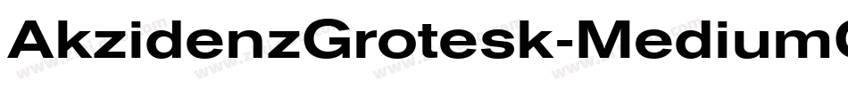 AkzidenzGrotesk-MediumCondItalic字体转换