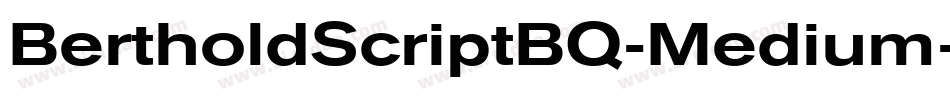 BertholdScriptBQ-Medium字体转换