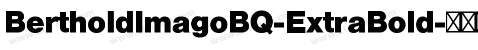 BertholdImagoBQ-ExtraBold字体转换