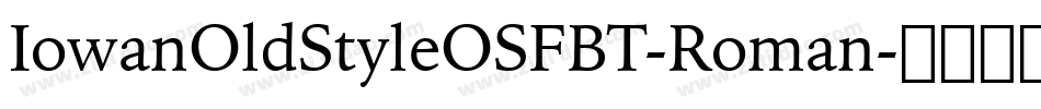 IowanOldStyleOSFBT-Roman字体转换