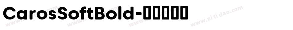 CarosSoftBold字体转换