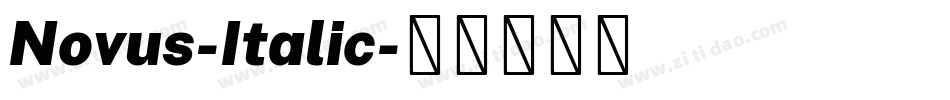 Novus-Italic字体转换