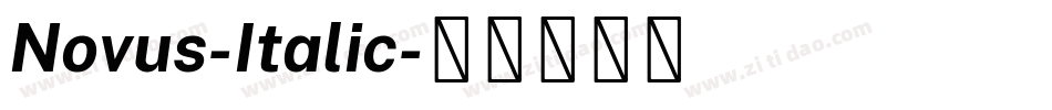 Novus-Italic字体转换