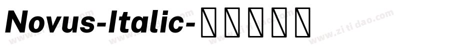 Novus-Italic字体转换