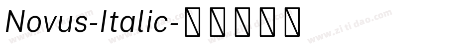 Novus-Italic字体转换