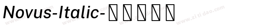 Novus-Italic字体转换