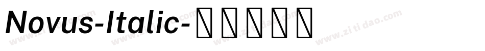 Novus-Italic字体转换