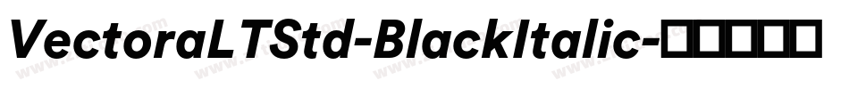 VectoraLTStd-BlackItalic字体转换