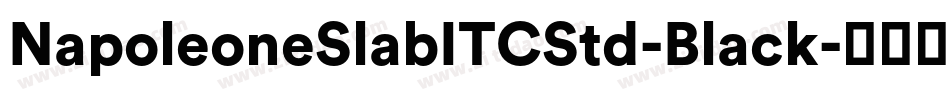 NapoleoneSlabITCStd-Black字体转换