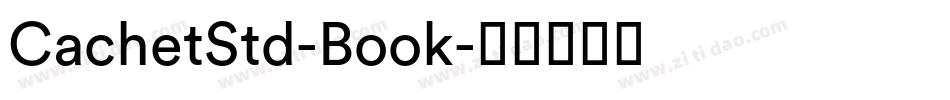 CachetStd-Book字体转换
