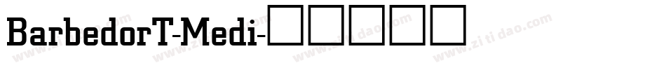 BarbedorT-Medi字体转换