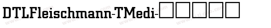DTLFleischmann-TMedi字体转换