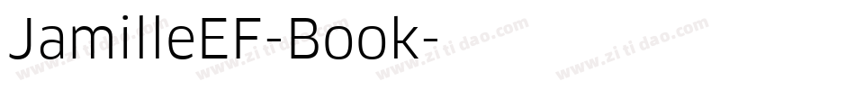 JamilleEF-Book字体转换