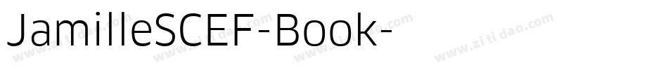 JamilleSCEF-Book字体转换
