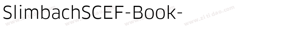 SlimbachSCEF-Book字体转换