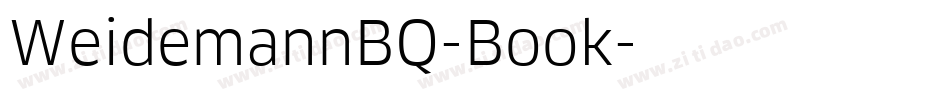 WeidemannBQ-Book字体转换