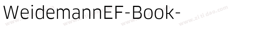 WeidemannEF-Book字体转换