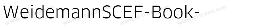 WeidemannSCEF-Book字体转换