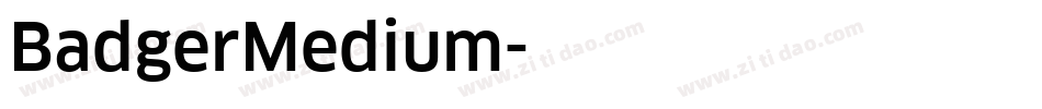BadgerMedium字体转换