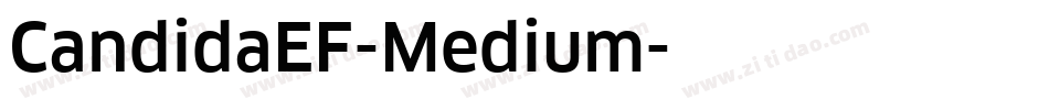 CandidaEF-Medium字体转换