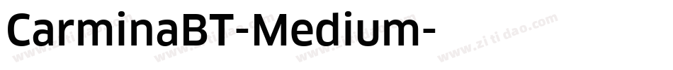 CarminaBT-Medium字体转换