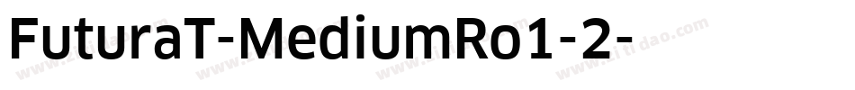 FuturaT-MediumRo1-2字体转换