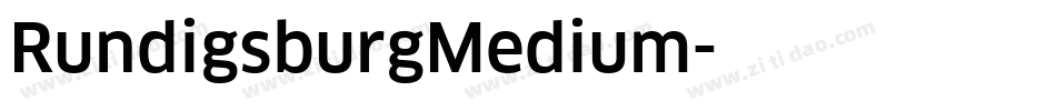 RundigsburgMedium字体转换
