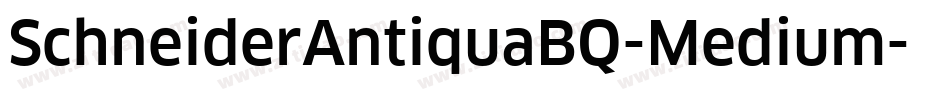 SchneiderAntiquaBQ-Medium字体转换