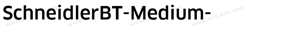 SchneidlerBT-Medium字体转换