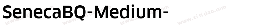 SenecaBQ-Medium字体转换