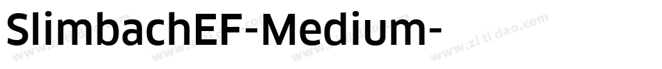 SlimbachEF-Medium字体转换 SlimbachEF-Medium字体转换