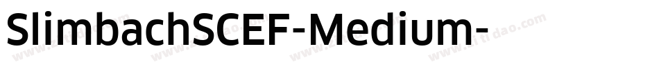 SlimbachSCEF-Medium字体转换