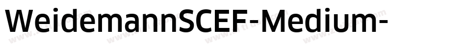 WeidemannSCEF-Medium字体转换