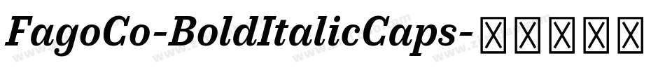 FagoCo-BoldItalicCaps字体转换