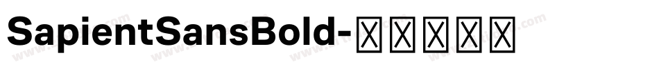 SapientSansBold字体转换