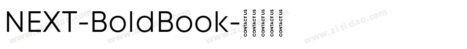 NEXT-BoldBook字体转换