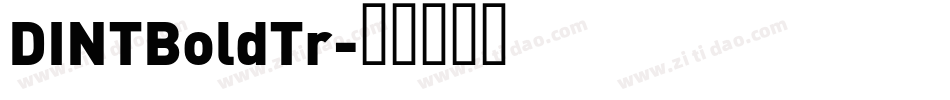 DINTBoldTr字体转换