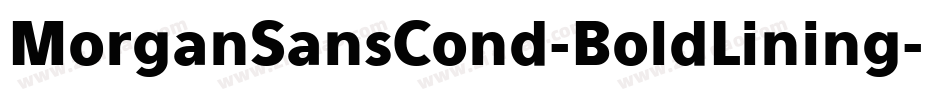 MorganSansCond-BoldLining字体转换