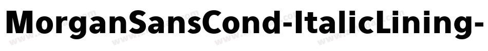 MorganSansCond-ItalicLining字体转换