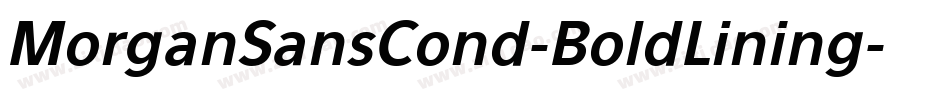 MorganSansCond-BoldLining字体转换