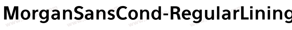 MorganSansCond-RegularLining字体转换