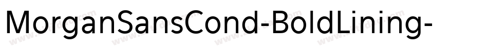 MorganSansCond-BoldLining字体转换