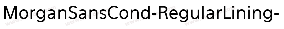 MorganSansCond-RegularLining字体转换