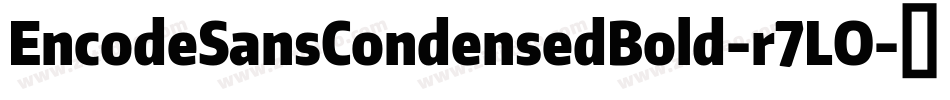 EncodeSansCondensedBold-r7LO字体转换