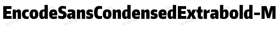 EncodeSansCondensedExtrabold-Mage字体转换