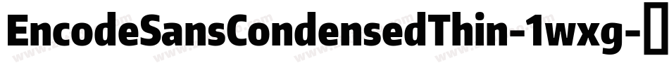 EncodeSansCondensedThin-1wxg字体转换