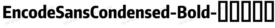 EncodeSansCondensed-Bold字体转换